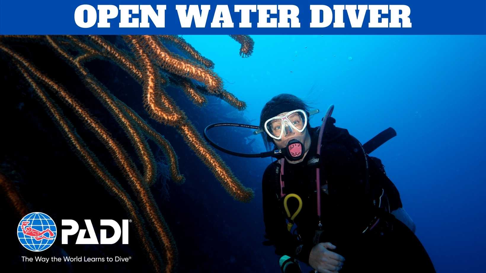 PADI Open Water Madrid